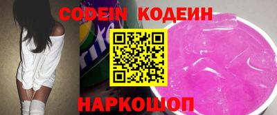 гашик Можга