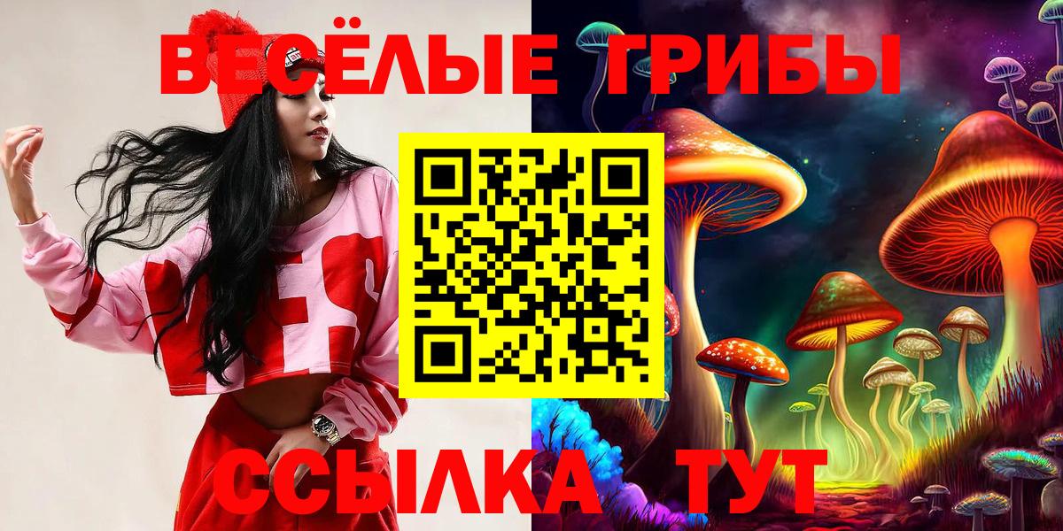 Галлюциногенные грибы GOLDEN TEACHER Екатеринбург