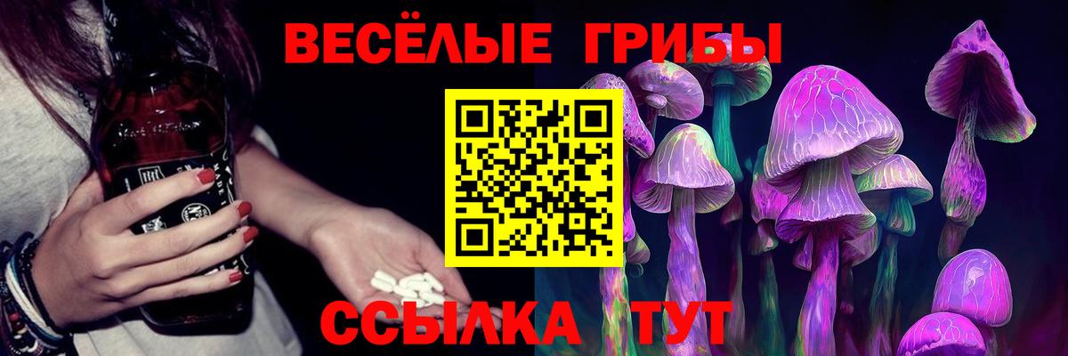Псилоцибиновые грибы Cubensis  Галлюциногенные грибы мухоморы  Екатеринбург  Вход с VPN 